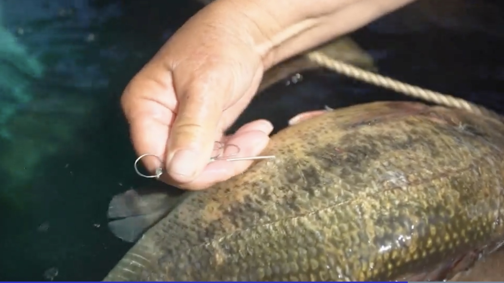 Barb Ellliott NY Director of BASS shows how to fizz a largemouth bass